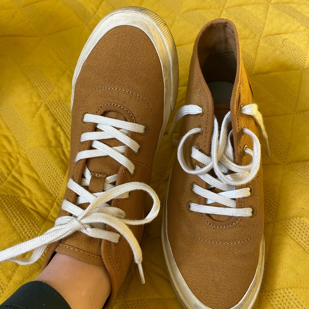 Everlane forever high top sneaker